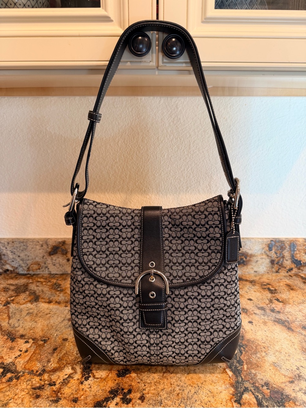 Coach y2k Soho Mini C Signature Canvas Shoulder Bag